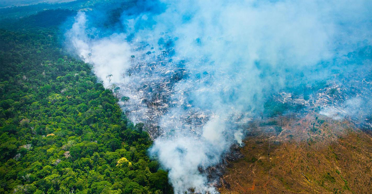 Floresta amazônica vista de cima sendo consumida pelo fogo