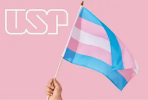 bandeira trans e logo USP