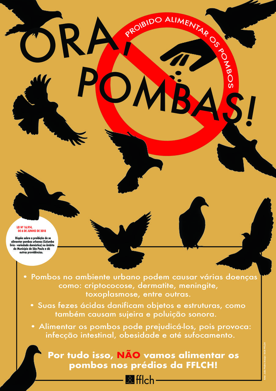 cartaz campanha