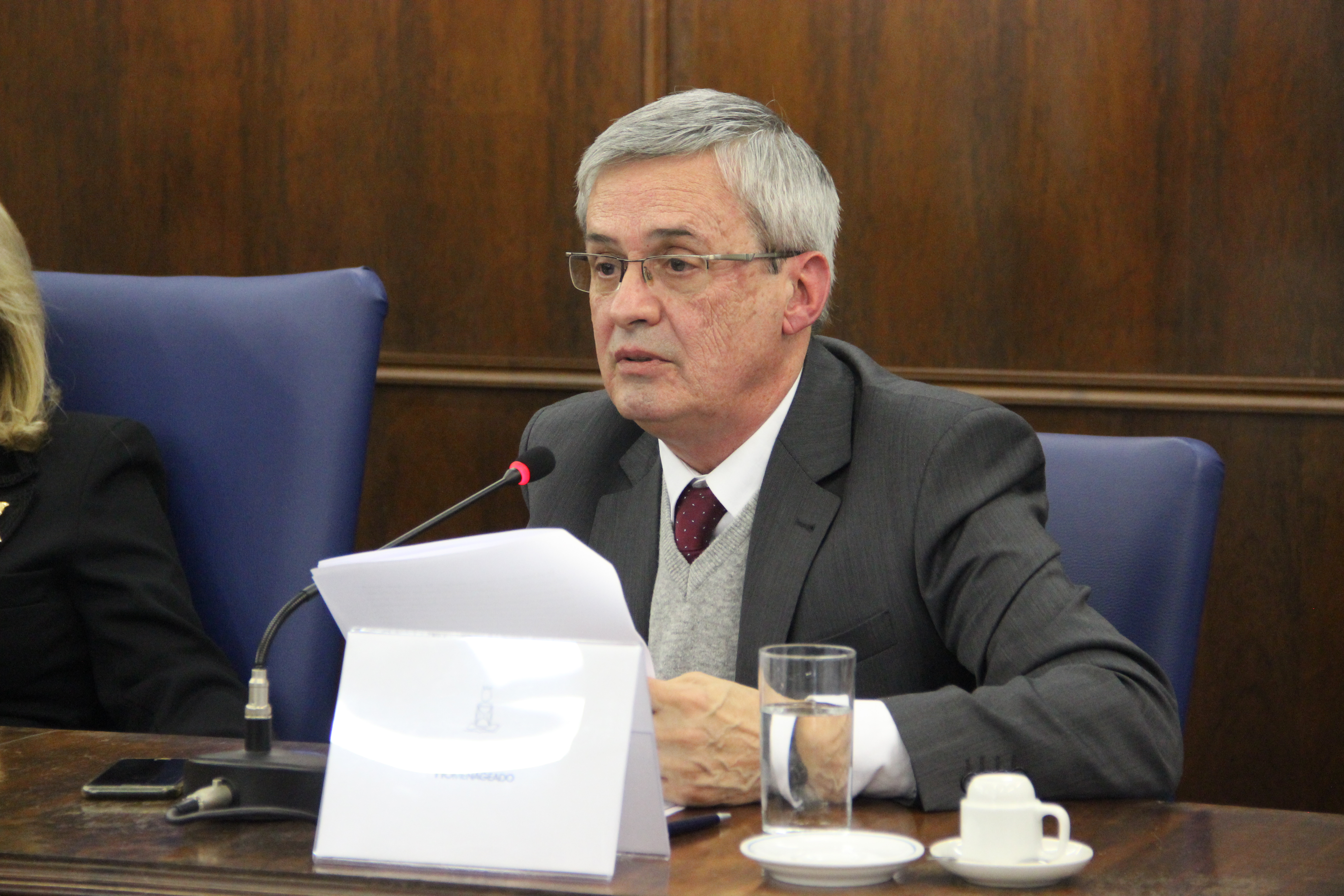 Professor Reginaldo Prandi durante seu discurso